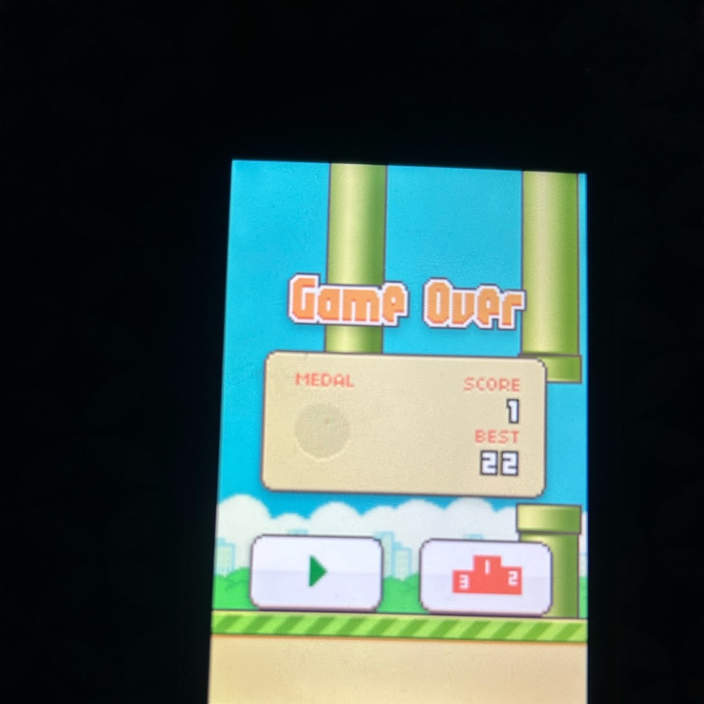 flappy bird Ipod with charger